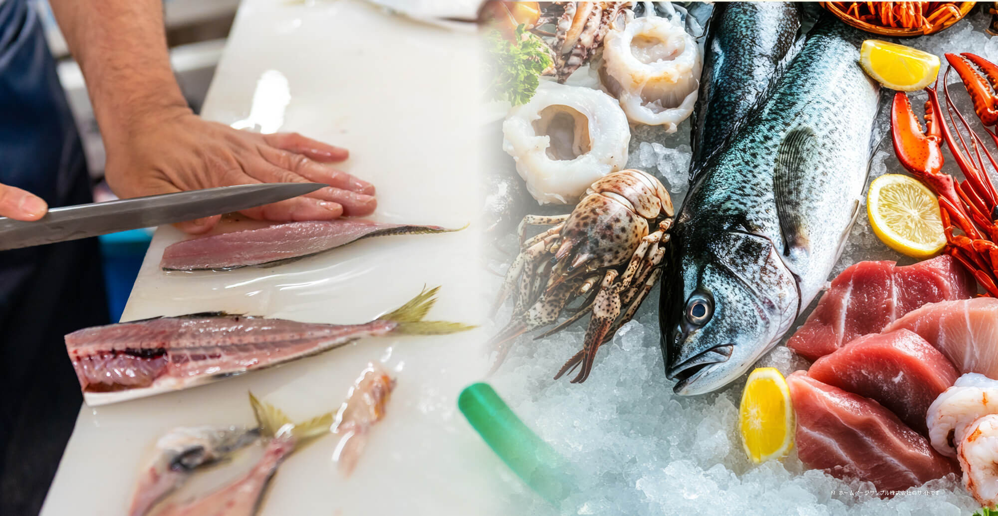 自由に魚を仕入れ、自由に売り場をつくる楽しさを！