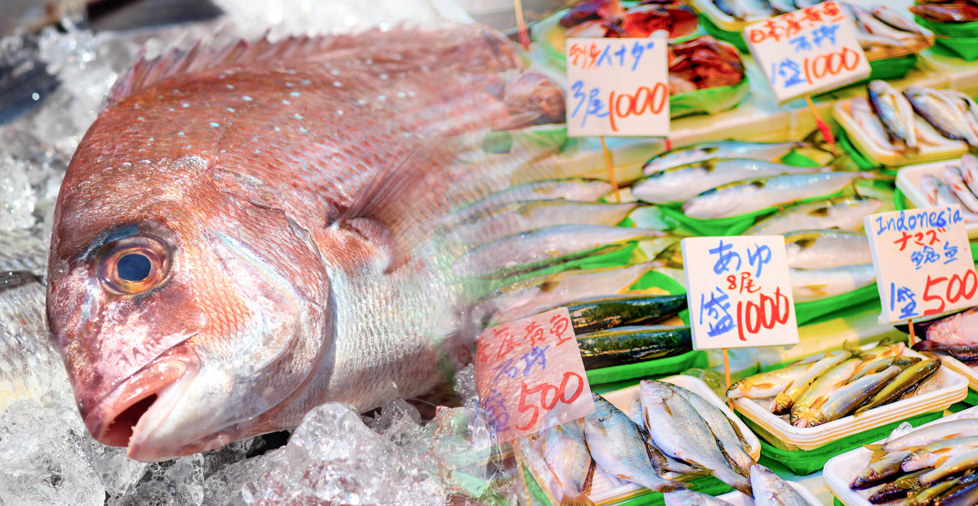 仲間は優しく、売り方は自由！居心地バツグンの職場 